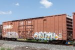 NS 469331